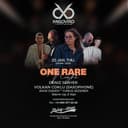 Melovixo — ONE RARE NIGHT